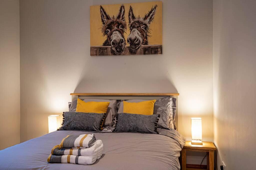 אברפלדי Cozy Newly Renovated Town Centre Apartment מראה חיצוני תמונה